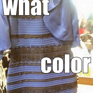 Meet your Posher, Clifford